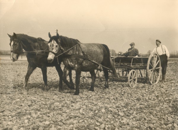 Gerrit Vrieze en knecht Braakman (Foto: collectie Fam. Levers)