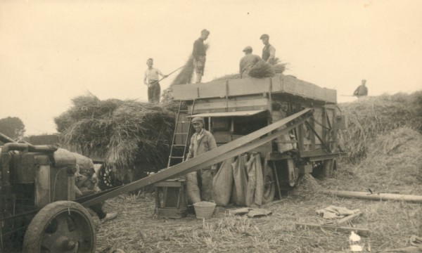 Gerrit Vrieze: rogge dorsen op de Spalle (Foto: collectie Fam. Levers)