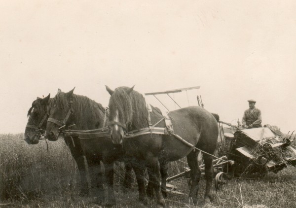 C. Vrieze vd spalle met knecht (Foto: collectie Fam. Levers)