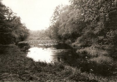 De Baolenvijver in de Kruisberg