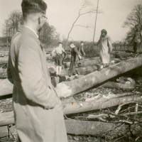 Bomen klimmen op landgoed Enghuizen  (ca. 1951)