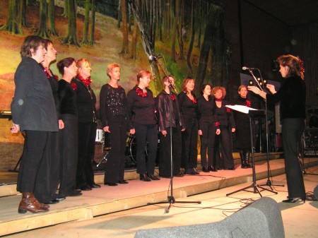 Koor Voix-La uit Hoog-Keppel, opgericht in het voorjaar 2004. Onder leiding van dirigente Caroline Rutjes-Hendriks brengt dit koor liederen van over de hele wereld en in iedere stijl. (28 dec 2004)