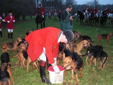 Slipjacht door Hummelo, Keppel en Doetinchem: Bij kasteel Keppel krijgen de honden hun beloning: koeienpens....