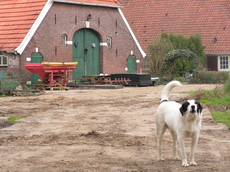 Kunstwandelroute 2006 in Hummelo