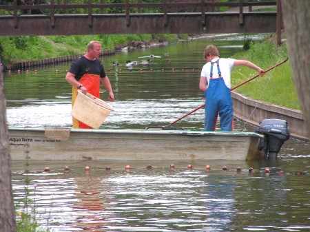 Visstandonderzoek in de Weppel in Hummelo