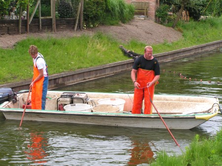 Visstandonderzoek in de Weppel in Hummelo