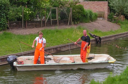 Visstandonderzoek in de Weppel in Hummelo