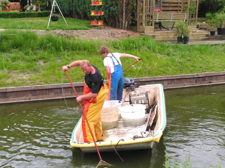 Visstandonderzoek in de Weppel in Hummelo