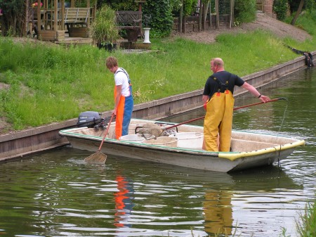 Visstandonderzoek in de Weppel in Hummelo