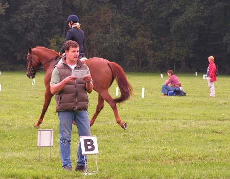 Paarden en pony concours Hummelo