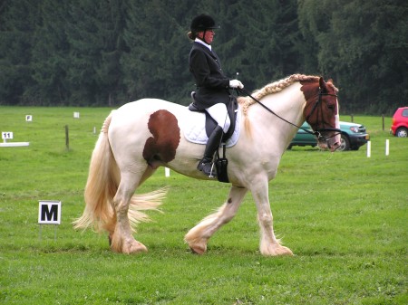 Paarden en pony concours Hummelo