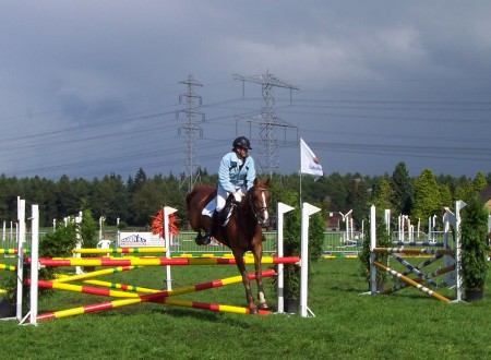 Paarden en pony concours Hummelo