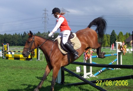 Paarden en pony concours Hummelo