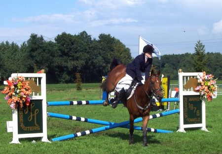 Paarden en pony concours Hummelo