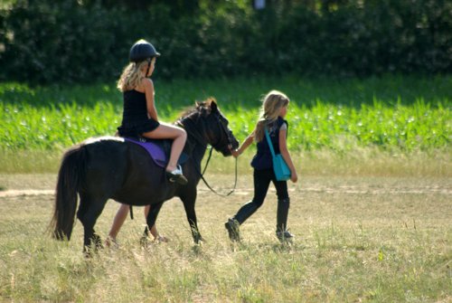 Camping Party De Woordhof