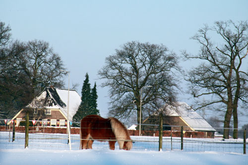 Winter in Hummelo (25-12-2010)