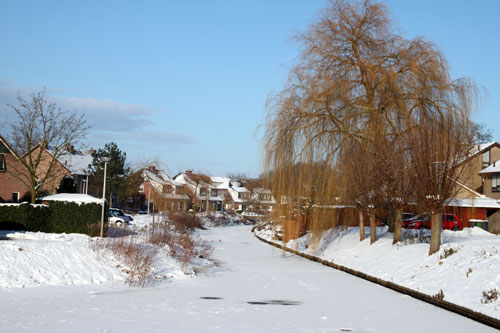 Winter in Hummelo (26-12-2010)