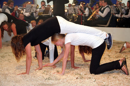 Circusfestival De Woordhof en muziekvereniging De Eendracht