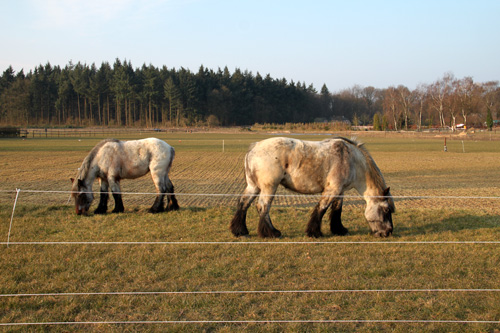 Aanleg rondweg Hummelo (3-4-2013)