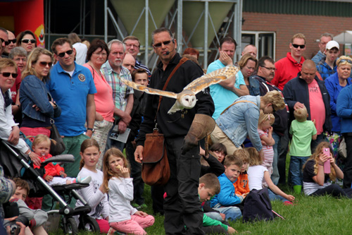 Open dag ijsboerderij 'De Steenoven' in Hummelo (roofvolgelshow)