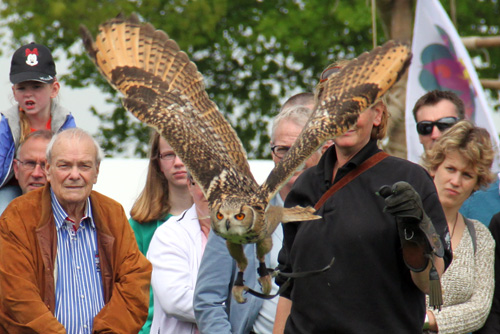 Open dag ijsboerderij 'De Steenoven' in Hummelo (roofvolgelshow)