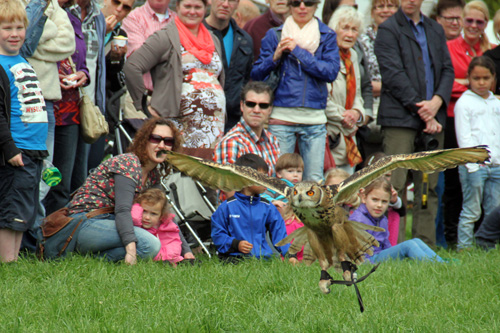 Open dag ijsboerderij 'De Steenoven' in Hummelo (roofvolgelshow)