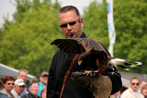 Open dag ijsboerderij 'De Steenoven' in Hummelo (roofvolgelshow)