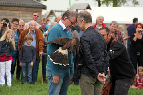 Open dag ijsboerderij 'De Steenoven' in Hummelo (roofvolgelshow)