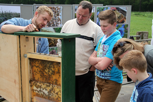 Open dag ijsboerderij 'De Steenoven' in Hummelo