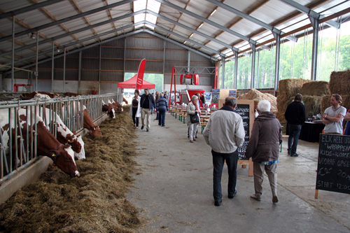 Open dag ijsboerderij 'De Steenoven' in Hummelo