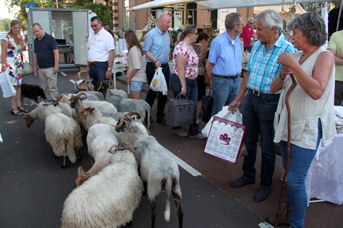 Vive la France in Hummelo