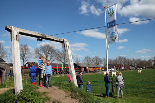 De koeien van IJsboerderij de Steenoven mochten op 18 april dit jaar voor het eerst naar buiten