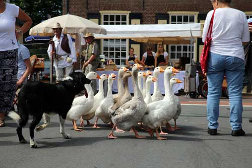 Vive la France in Hummelo 2015