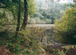 De Zwarte Kolk (Foto: Harold Pelgrom)