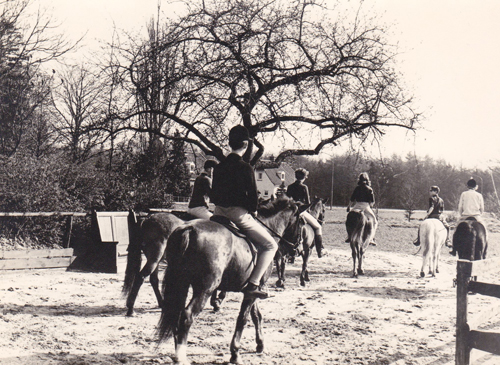 manege zandewierde hummelo 02