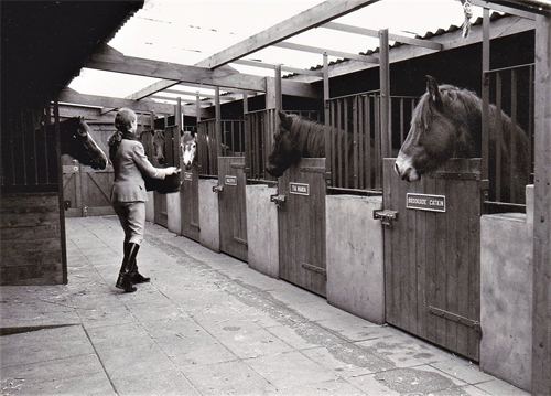 manege zandewierde hummelo stallen